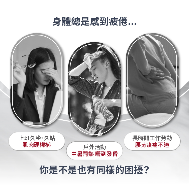 圖片介紹 圖片介紹
