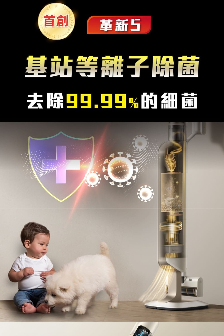 圖片介紹 圖片介紹