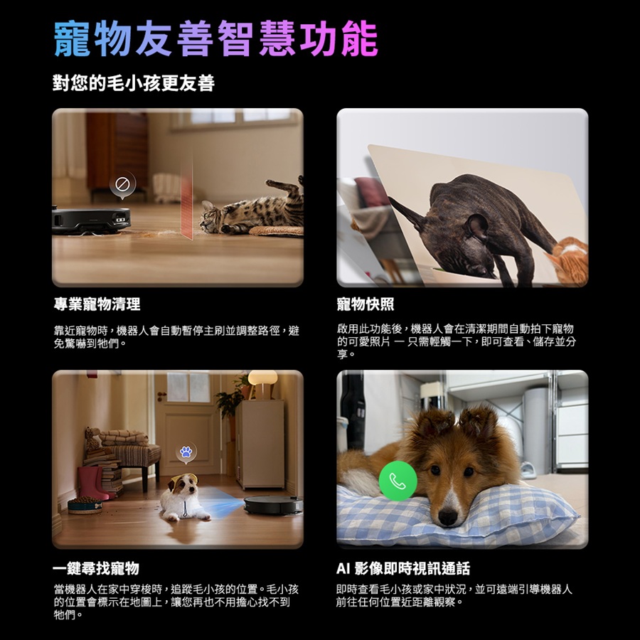 圖片介紹 圖片介紹