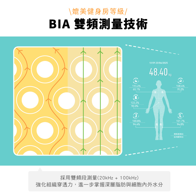 圖片介紹 圖片介紹