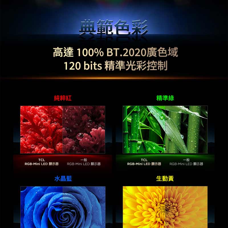 圖片介紹 圖片介紹