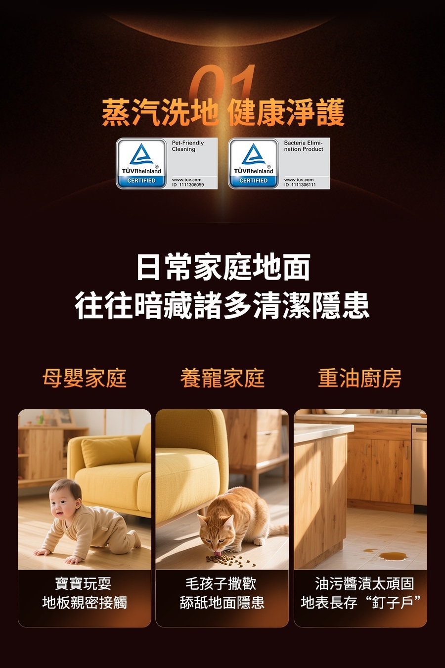 圖片介紹 圖片介紹