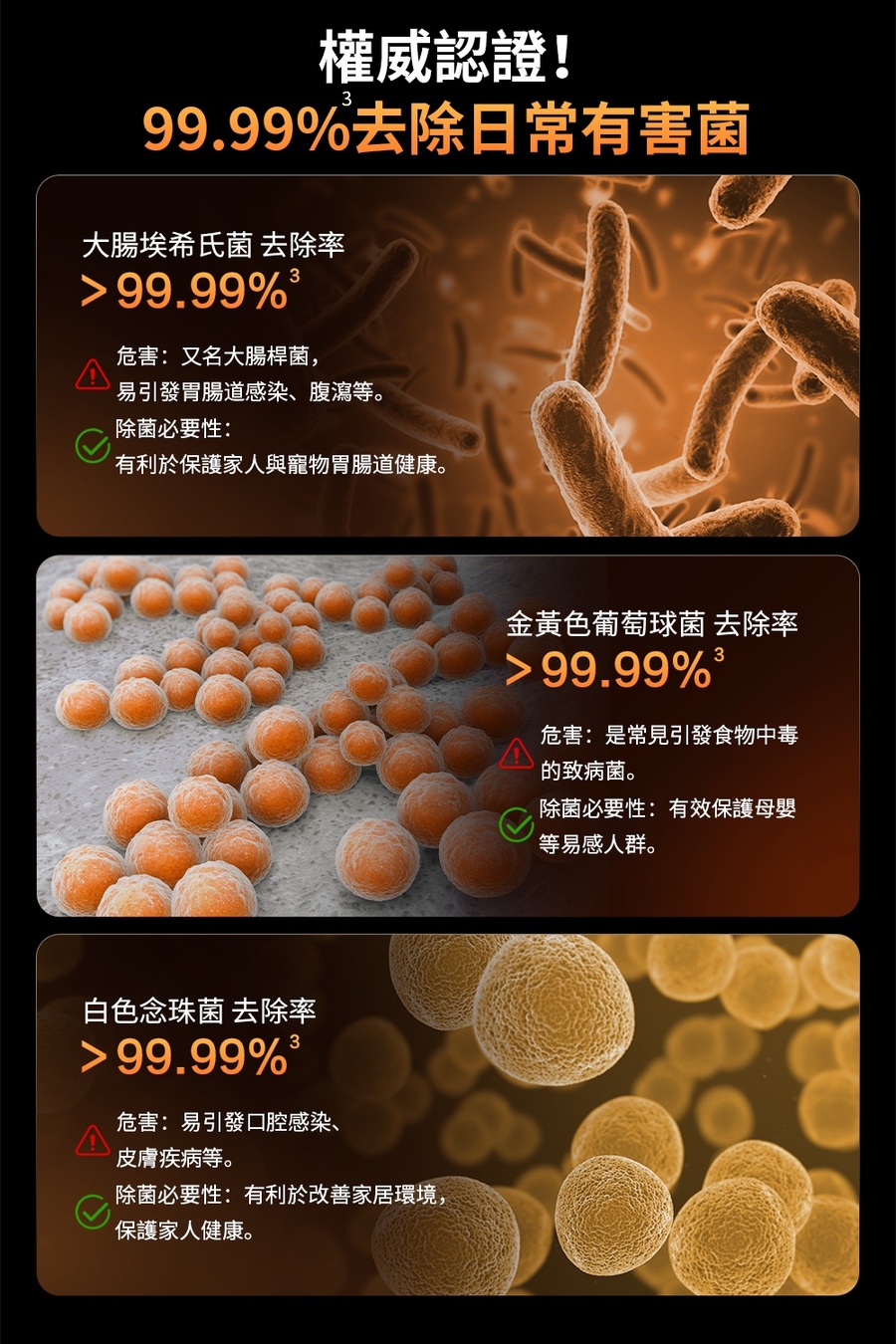 圖片介紹 圖片介紹
