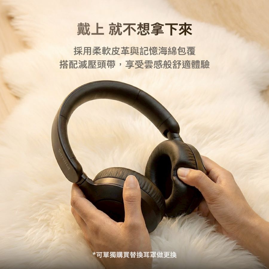 圖片介紹 圖片介紹