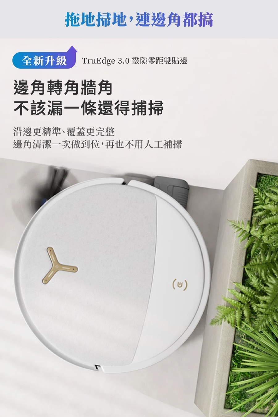 圖片介紹 圖片介紹