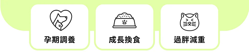 AI 360° 智慧寵物餵食機 AI 360° 智慧寵物餵食機