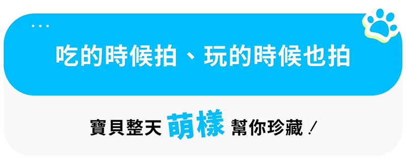 AI 360° 智慧寵物餵食機 AI 360° 智慧寵物餵食機