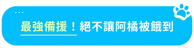 AI 360° 智慧寵物餵食機 AI 360° 智慧寵物餵食機