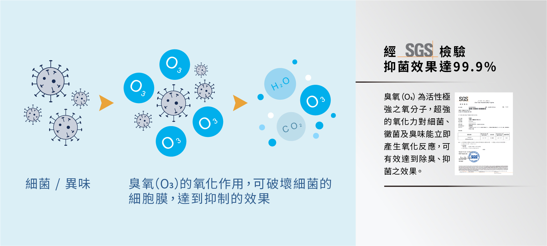 圖片介紹 圖片介紹